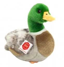 Peluche Canard Sauvage - 24 Cm