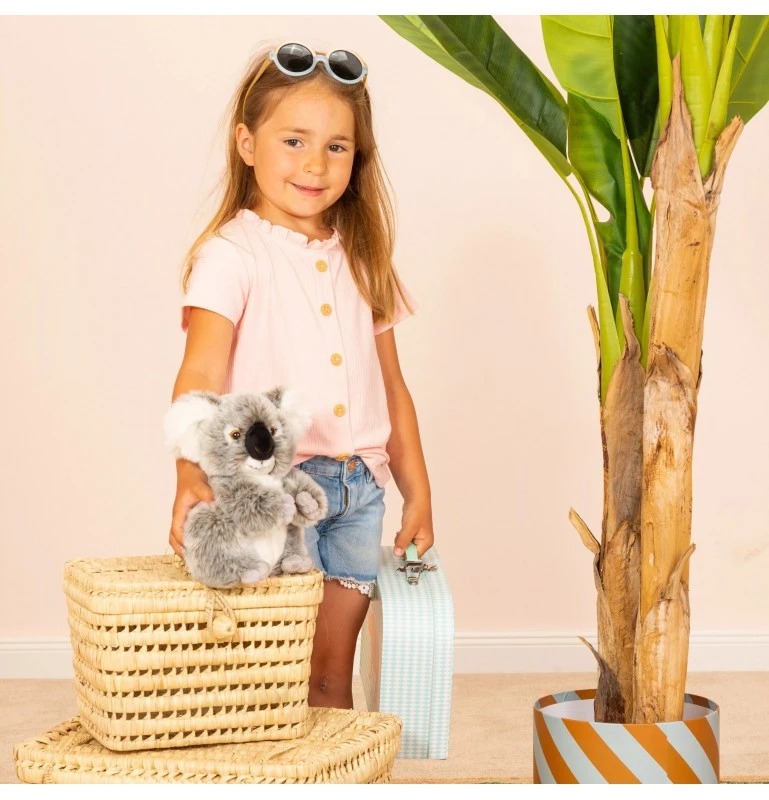 Peluche Koala - 21 Cm 3 Peluche Koala - 21 Cm – Image 3