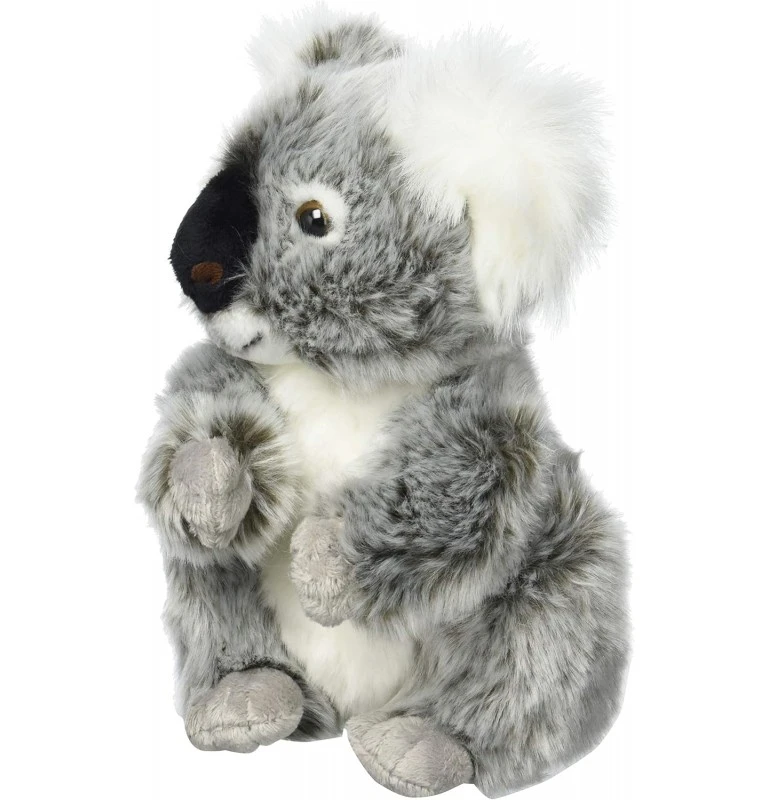 Peluche Koala - 21 Cm 5 Peluche Koala - 21 Cm – Image 5