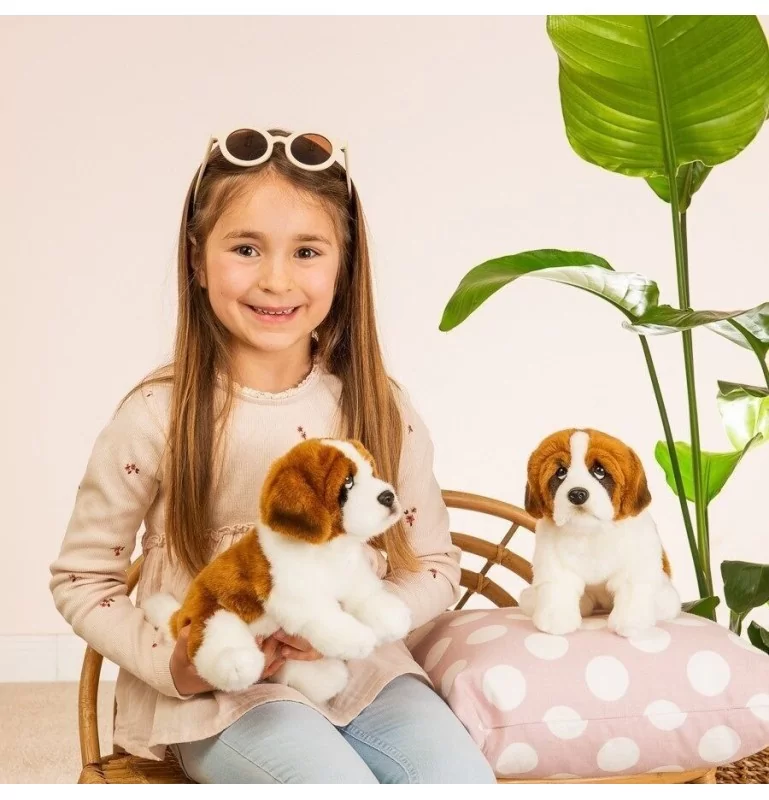 Peluche Saint Bernard Assis - 25 Cm 2 Peluche Saint Bernard Assis - 25 Cm – Image 2