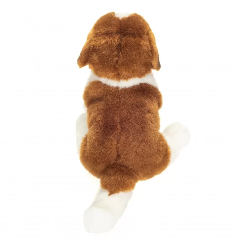 Peluche Saint Bernard Assis - 25 Cm 4 Peluche Saint Bernard Assis - 25 Cm – Image 4