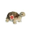 Peluche Tortue - 20 Cm