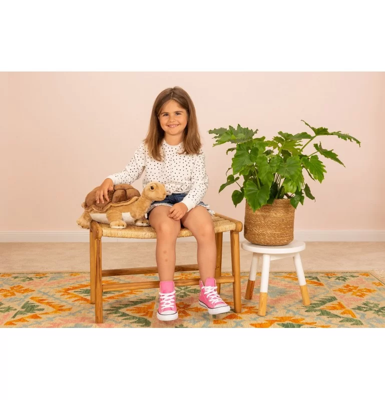 Peluche Tortue Géante - 50 Cm 2 Peluche Tortue Géante - 50 Cm – Image 2