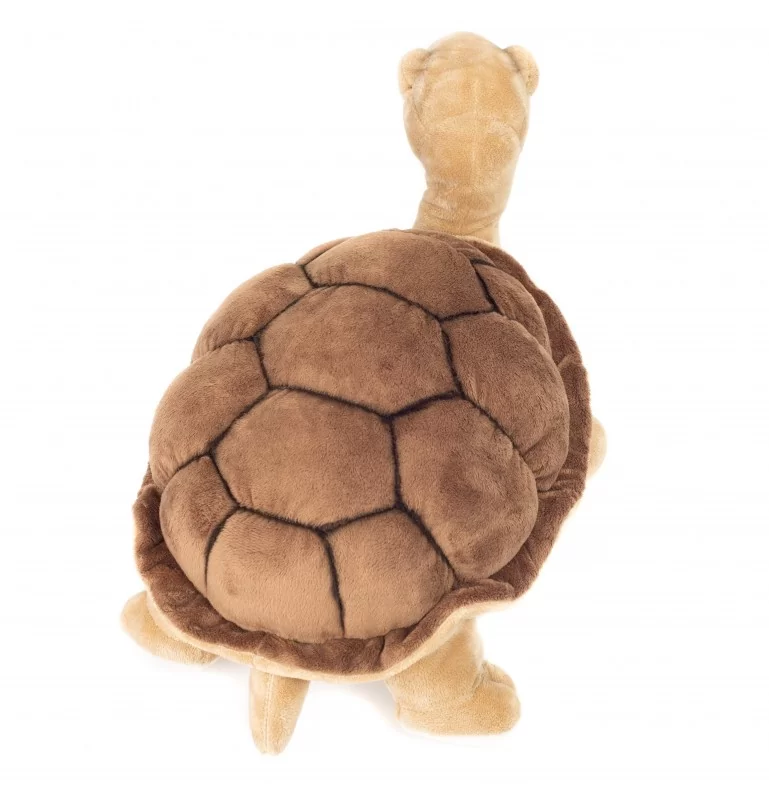 Peluche Tortue Géante - 50 Cm 4 Peluche Tortue Géante - 50 Cm – Image 4